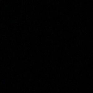 Meet your Posher, Rylee